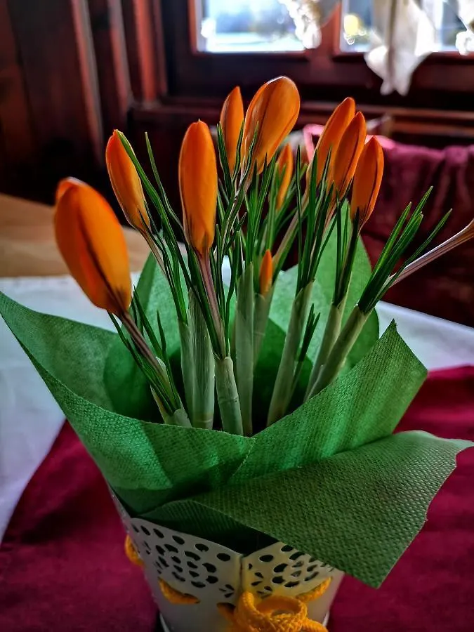 Guest house Zigen House Hotel Bansko