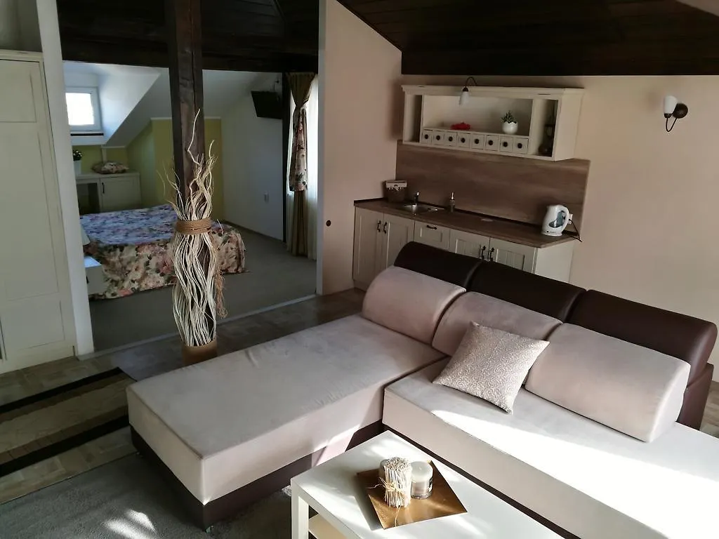 Zigen House Hotel Bansko 3*,